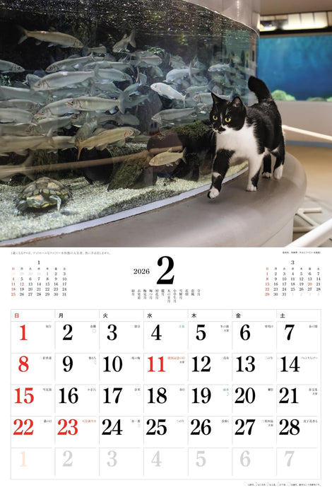 2026 Japanese Cats Calendar