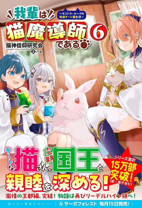 Wagahai wa Neko Madoushi de aru - Kijitora Luke no Kaiteki Cheat Neko Seikatsu - 6 (Light Novel)