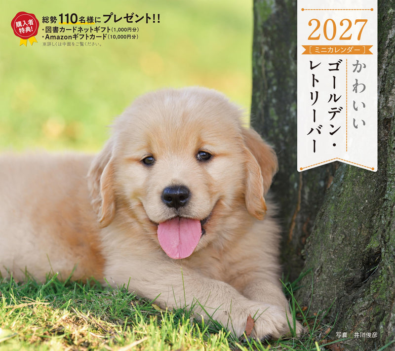 2027 Adorable Golden Retriever Calendar (Seibundo-shinkosha Calendar)