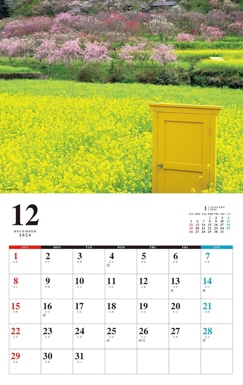 Relaxing Flowers Place Calendar 2025 (Monthly/Wall Calendar)