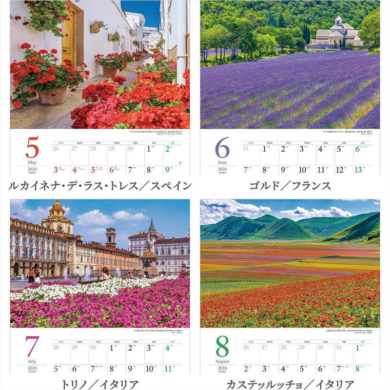 Shashin Koubou Calendar 'Wandering Around Botanical Fields' 2026 Wall Calendar (with Transparent Holder)