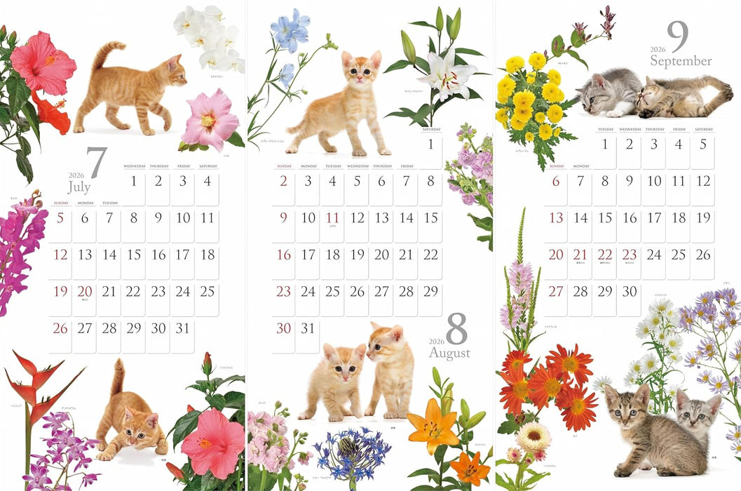 Calendar 2026 Cat and Flower Calendar (Monthly/Wall Calendar) (Yama-kei Calendar 2026)