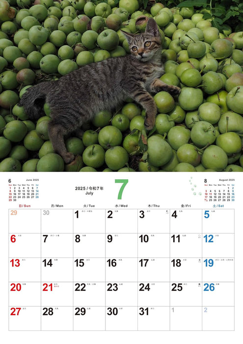 Koneko no Sekai 2025 Kitten Calendar S17