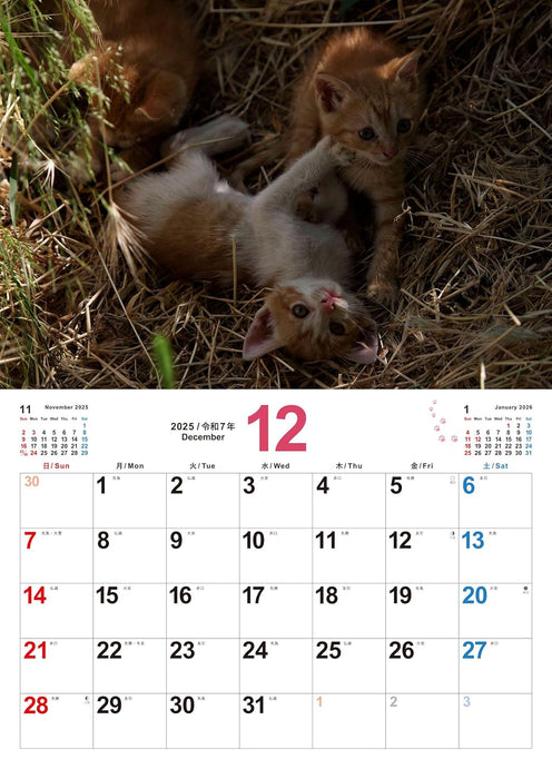 Koneko no Sekai 2025 Kitten Calendar S17