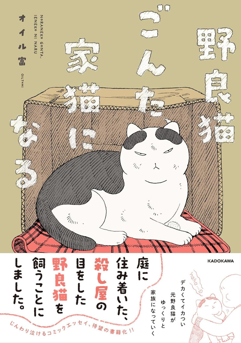 Noraneko Gonta, Ie Neko ni Naru