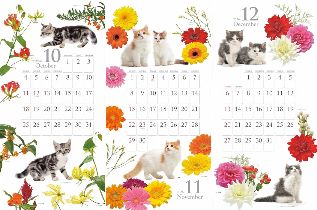 Calendar 2026 Cat and Flower Calendar (Monthly/Wall Calendar) (Yama-kei Calendar 2026)