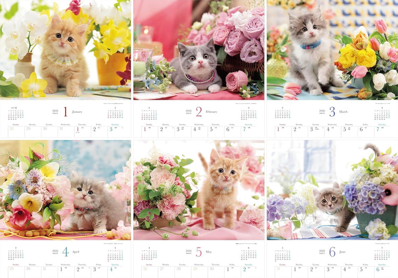 Calendar 2026 Beloved Kittens and Flowers (Monthly/Wall Calendar) (Yama-kei Calendar 2026)