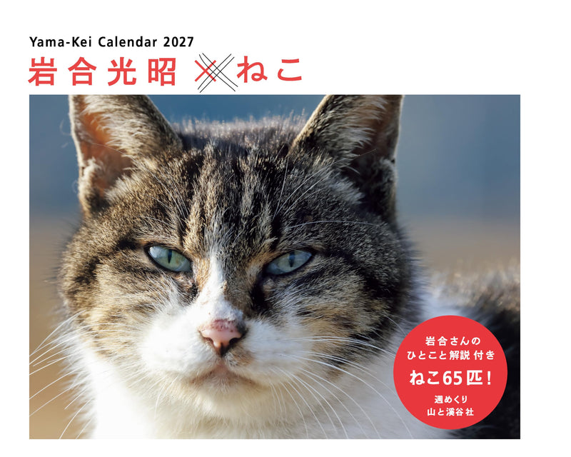 Calendar 2027 Mitsuaki Iwago x Cat (Weekly/Desk Ring Calendar) (Yama-kei Calendar 2027)