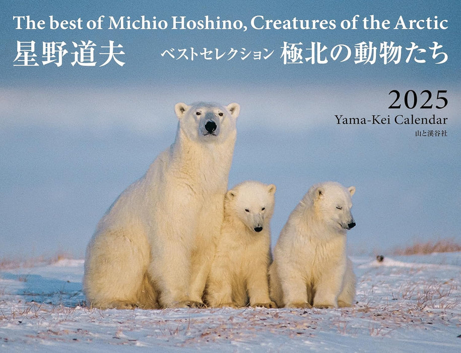 Calendar 2025 The best of Michio Hoshino, Creatures of the Arctic (Monthly/Wall Calendar) (Yama-kei Calendar 2025)