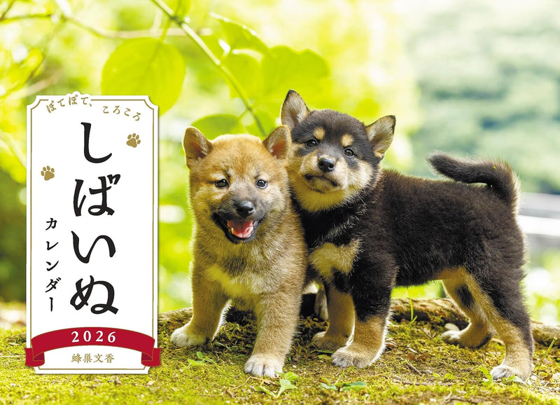 Shiba Inu Desk Calendar 2026