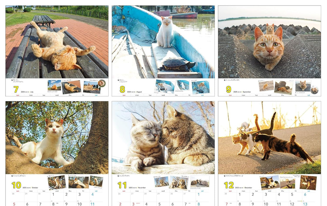 2025 Sachiyo Nakamura Cat Stroll Wall Calendar