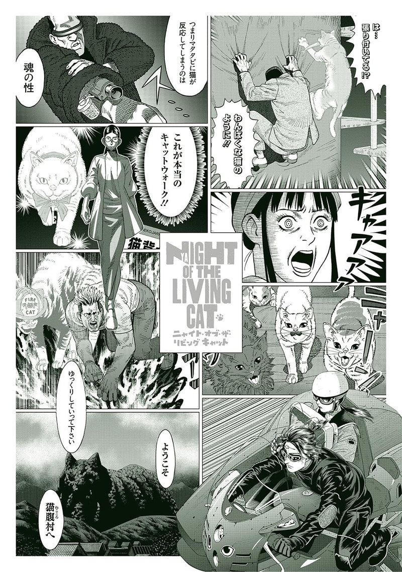 Nyaight of the Living Cat 7