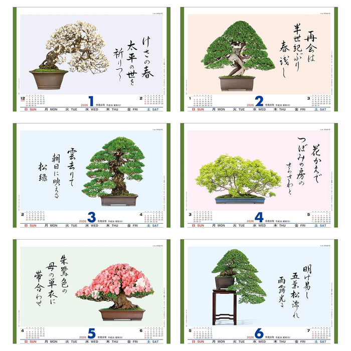 Todan 2026 Wall Calendar Bonsai Masterpiece Collection 60 x 42.5cm TD-665