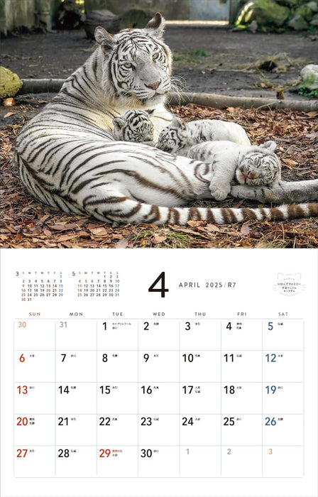 2025 Almost Cats Calendar