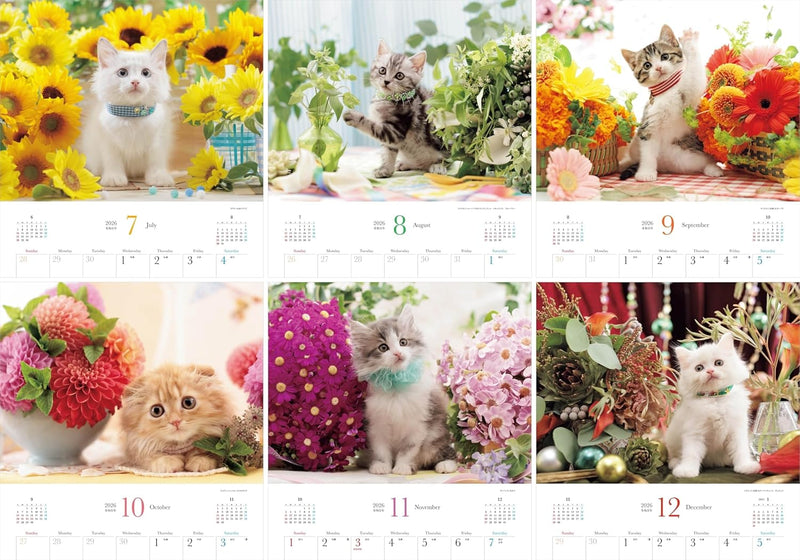 Calendar 2026 Beloved Kittens and Flowers (Monthly/Wall Calendar) (Yama-kei Calendar 2026)