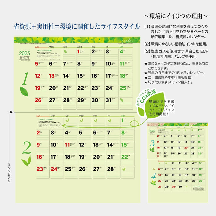 Todan 2025 Wall Calendar Green 2-Month eco (Perforated 15 Months) 53.5 x 38cm TD-30944