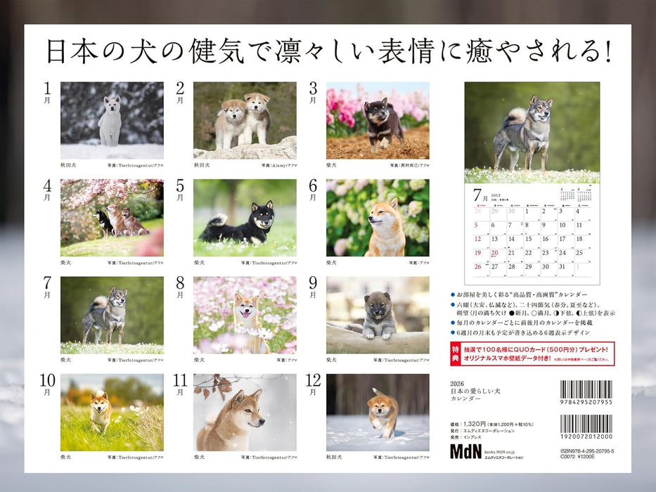 Adorable Dogs of Japan Calendar 2026 (Montly/Wall Calendar/Large)