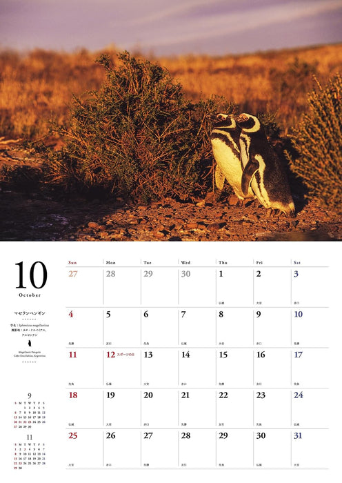 Penguins in Nature Calendar 2026