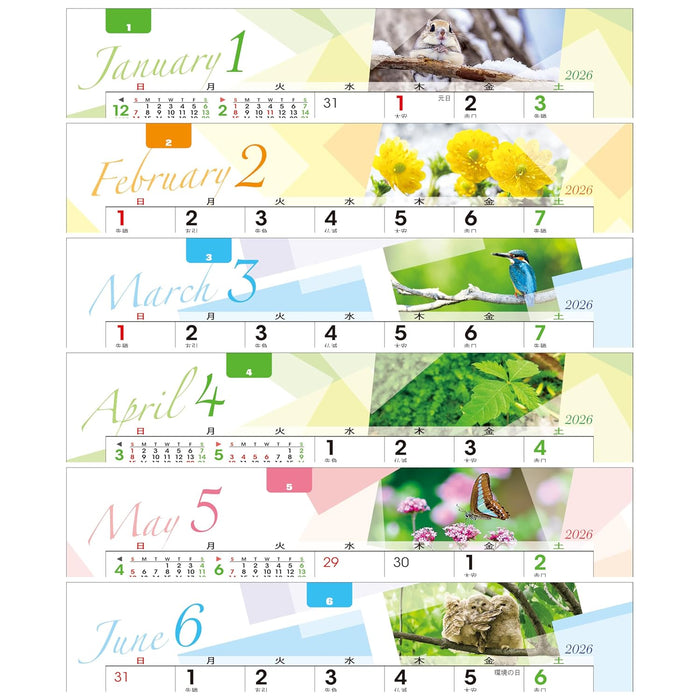 Todan 2026 Desk Calendar All Paper Radiance of the Forest 12.8 x 18.4cm TD-239