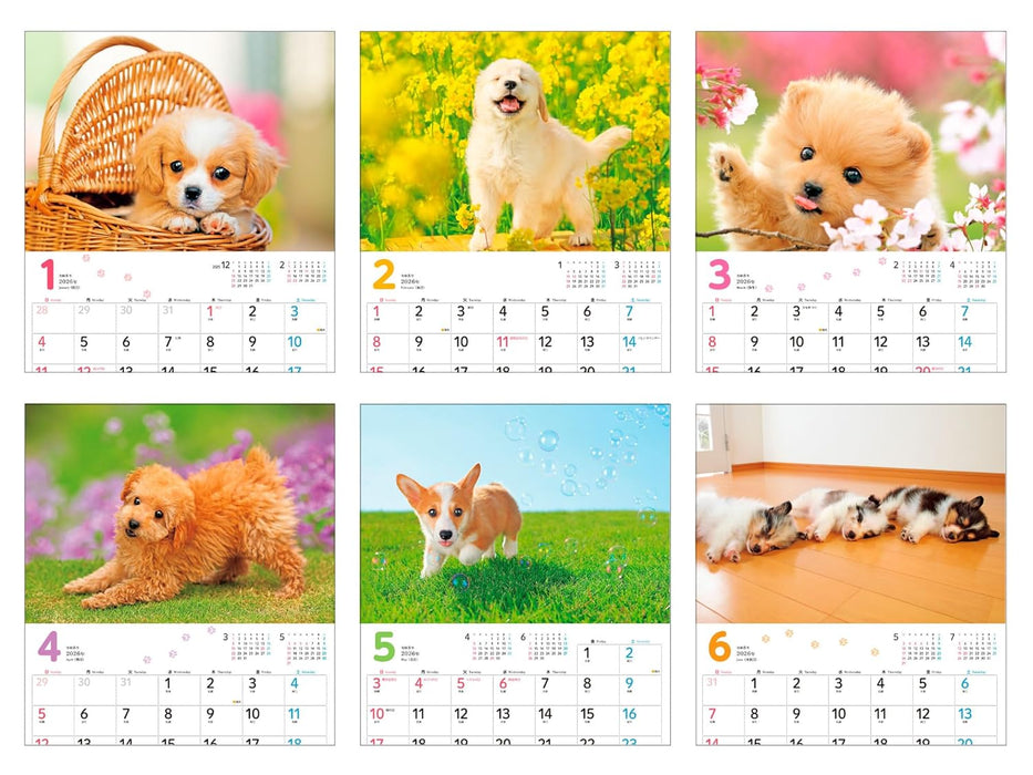 Calendar 2026 Mofu Mofu Koinu (Monthly/Wall Calendar) (Impress Calendar 2026)