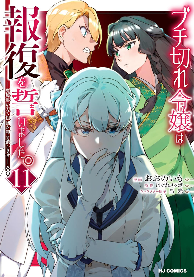Buchigire Reijou wa Houfuku wo Chikaimashita. 11 - Madousho no Chikara de Sokoku wo Tataki Tsubushimasu -