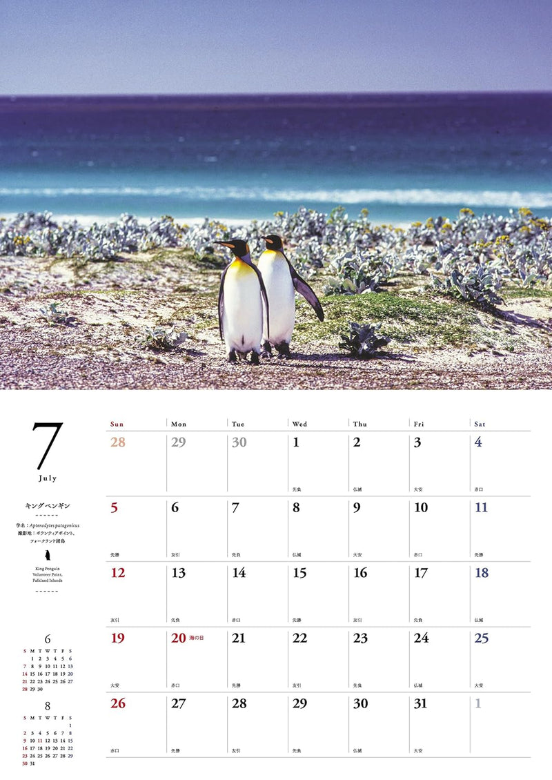 Penguins in Nature Calendar 2026
