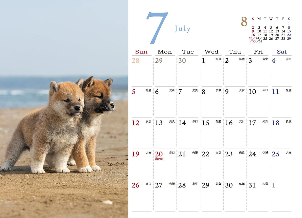 Shiba Inu Desk Calendar 2026