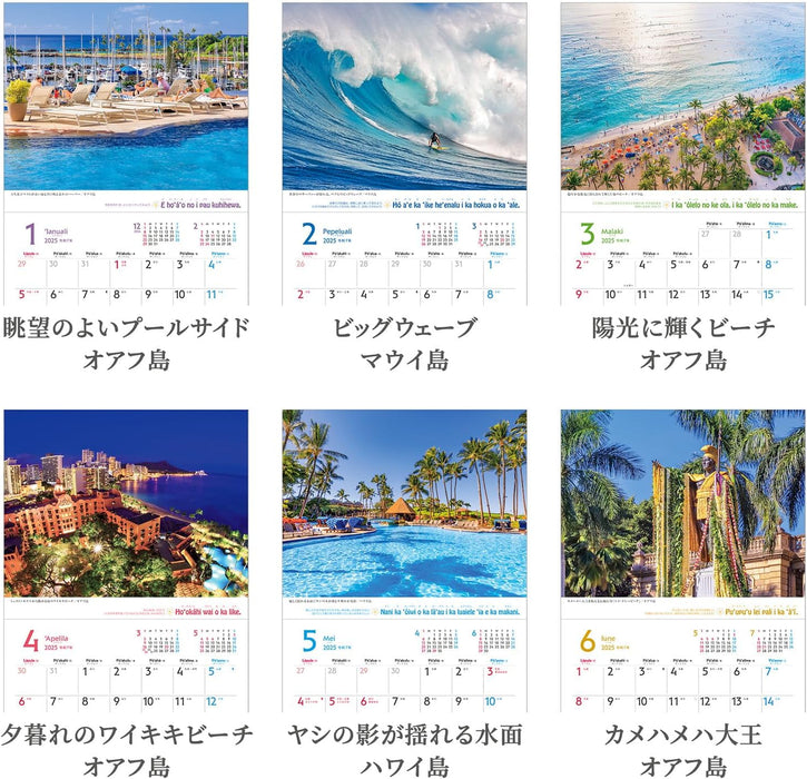 Shashin Koubou 'HAWAII Aloha Story' 2025 Wall Calendar 210 x 245mm