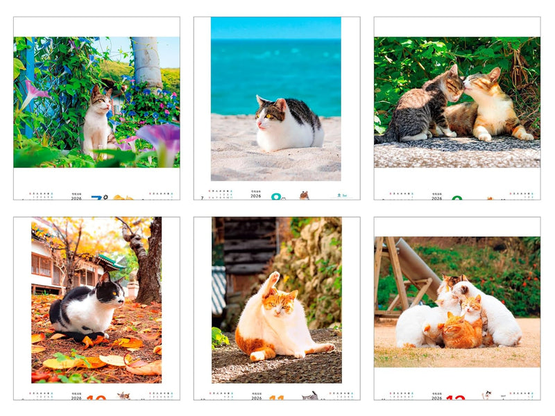 Calendar 2026 Nonbiri Shima Nyan CALENDAR (Monthly/Wall Calendar) (Impress Calendar 2026)