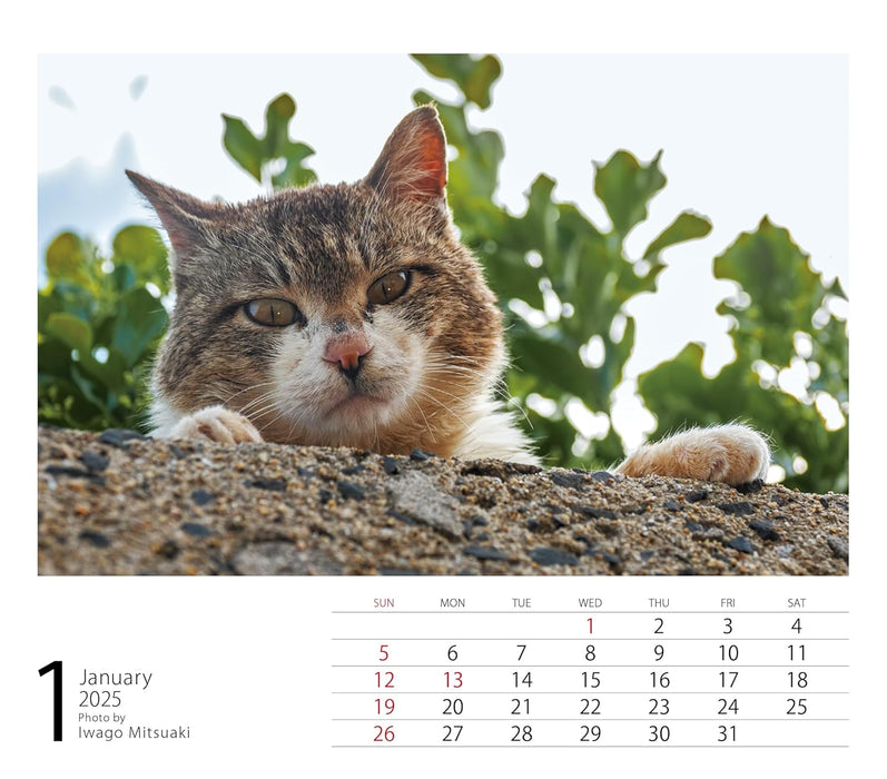 2025 Mini Calendar Mitsuaki Iwago Cats