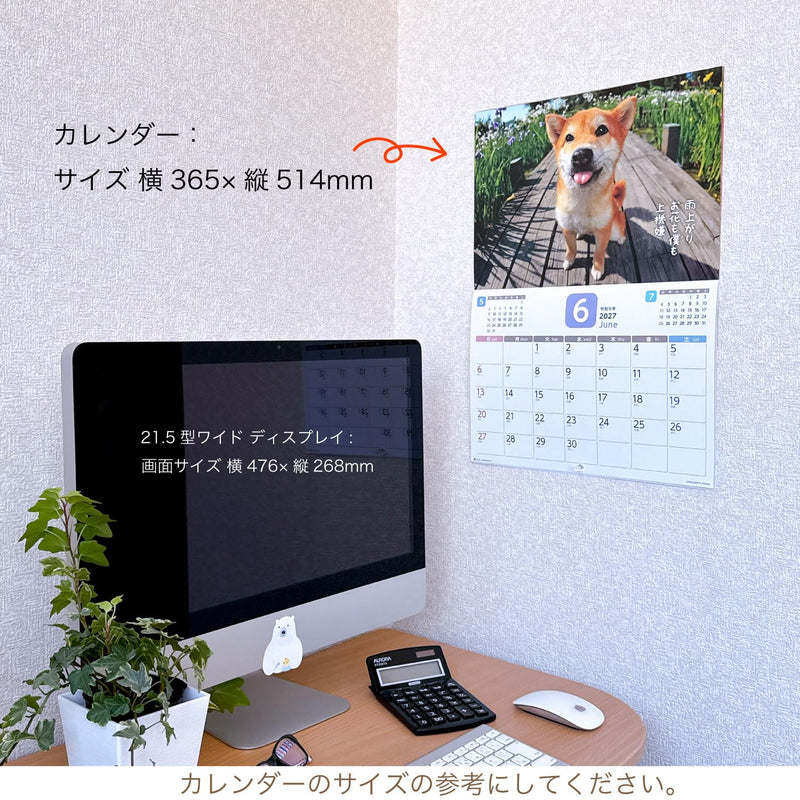Active Corporation 2027 Wall Calendar Datte Shiba Damono. 27ACL-64