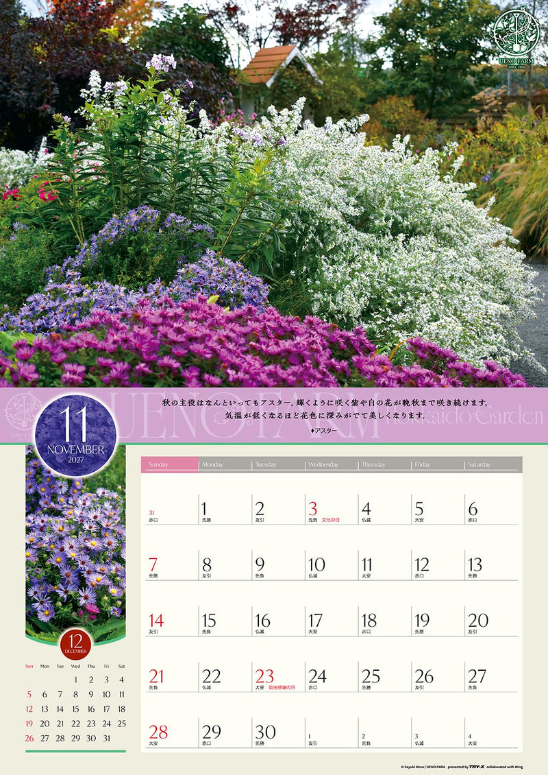 Try-X 2027 Wall Calendar Ueno Farm Hokkaido Garden 27CL-478 52x36cm