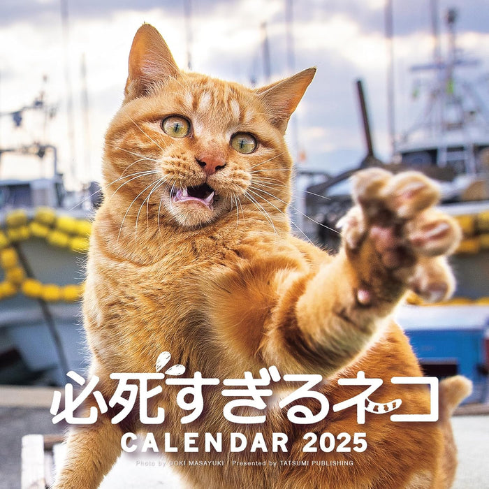 2025 Desperately Determined Cats Calendar