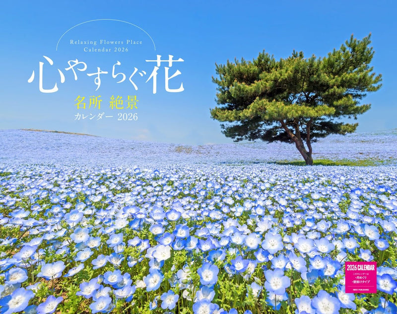 Relaxing Flowers Place Calendar 2026 (Monthly/Wall Calendar)
