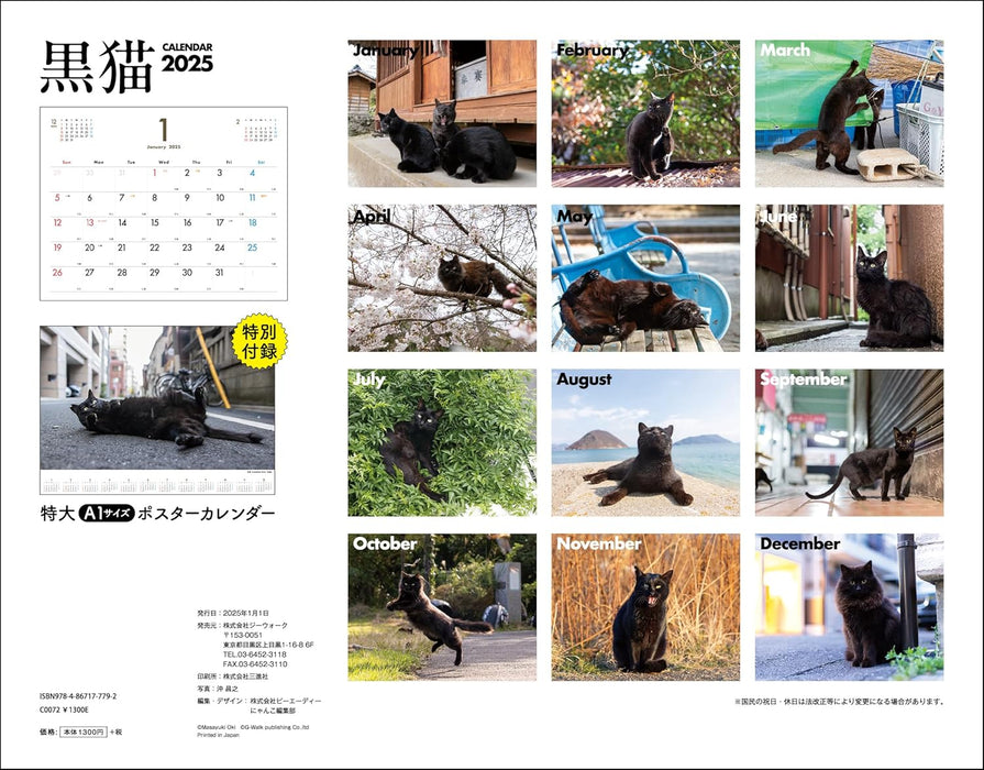 Black Cat Calendar 2025