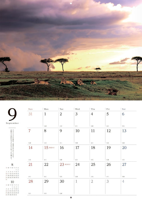 Spectacular Scenery and Animal Calendar 2025 (Wall Calendar)