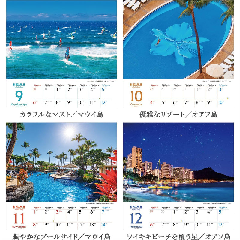 Shashin Koubou Calendar 'HAWAII Aloha Story' 2026 Wall Calendar (with Transparent Holder)