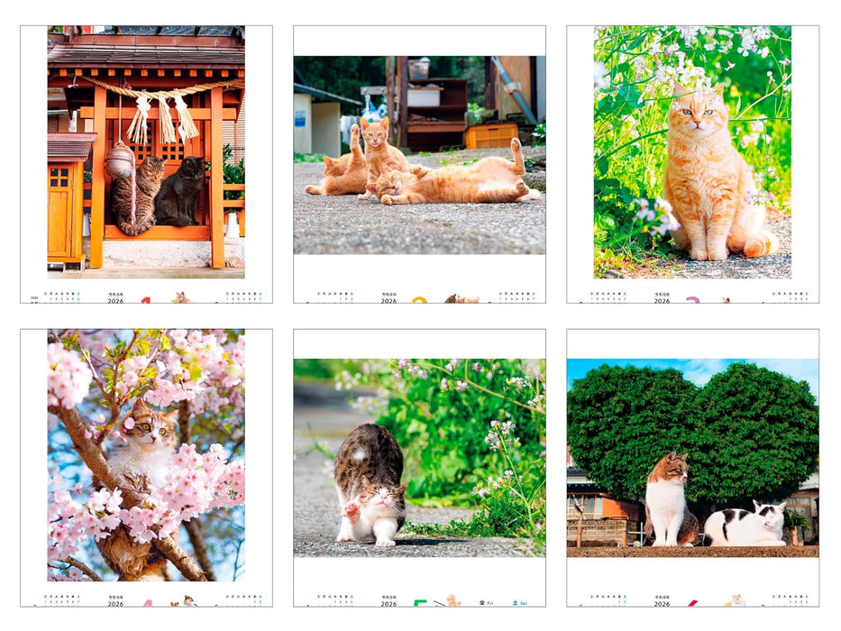 Calendar 2026 Nonbiri Shima Nyan CALENDAR (Monthly/Wall Calendar) (Impress Calendar 2026)
