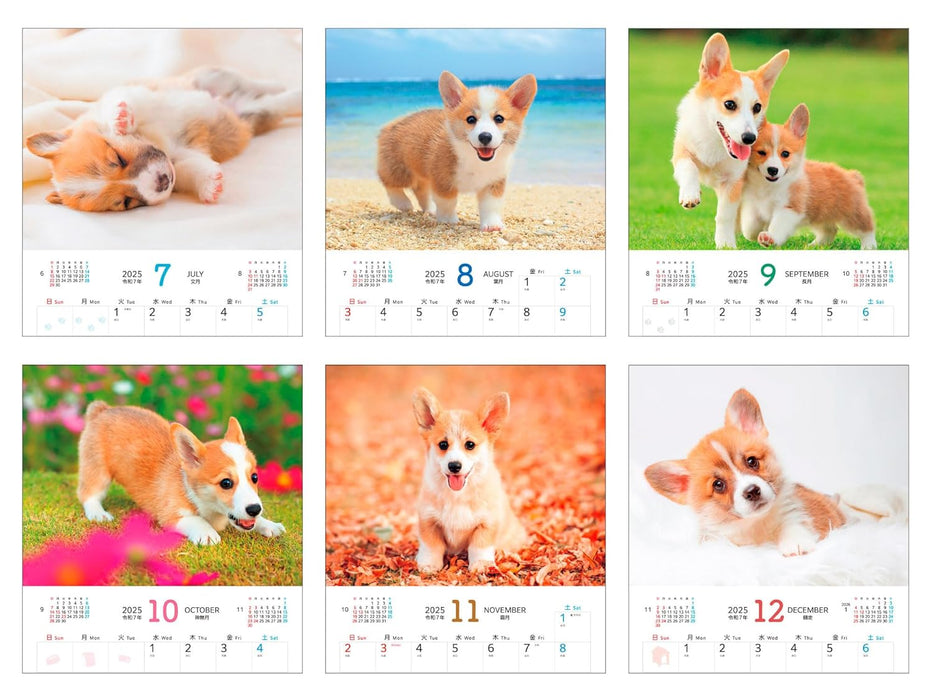 Calendar 2025 Soothing Welsh Corgis (Monthly/Wall Calendar) (Impress Calendar 2025)