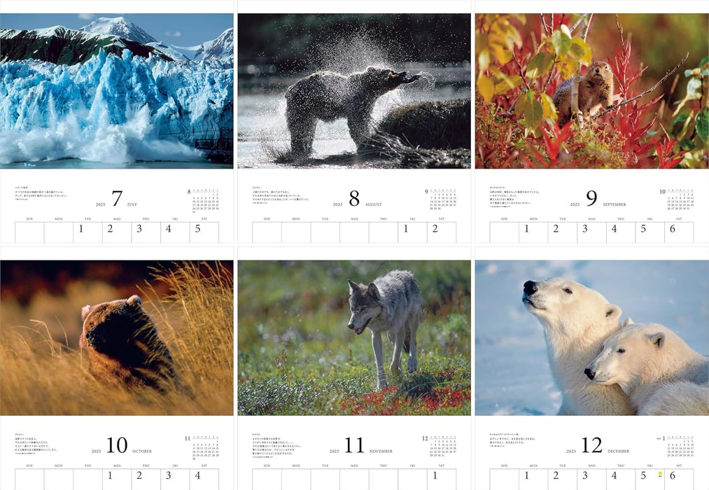 Calendar 2025 The best of Michio Hoshino, Creatures of the Arctic (Monthly/Wall Calendar) (Yama-kei Calendar 2025)