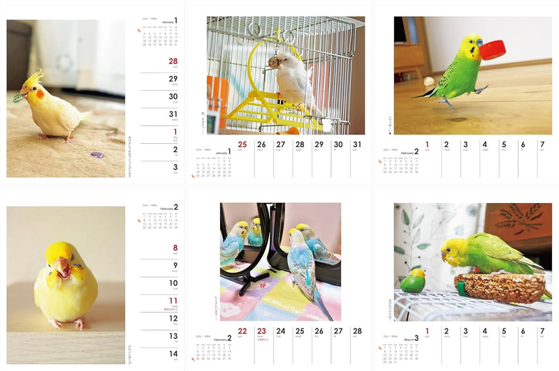 Yama-kei Calendar 2026 Parakeet Days (Weekly Calendar / Desk / Ring)