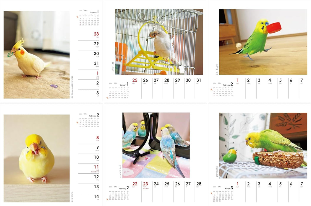 Yama-kei Calendar 2026 Parakeet Days (Weekly Calendar / Desk / Ring)