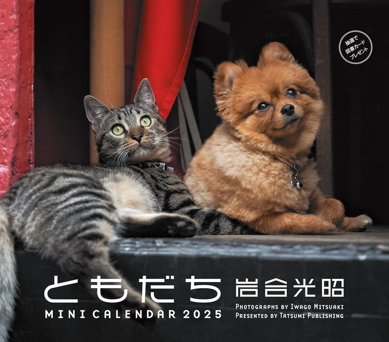 2025 Mini Calendar Mitsuaki Iwago Friends