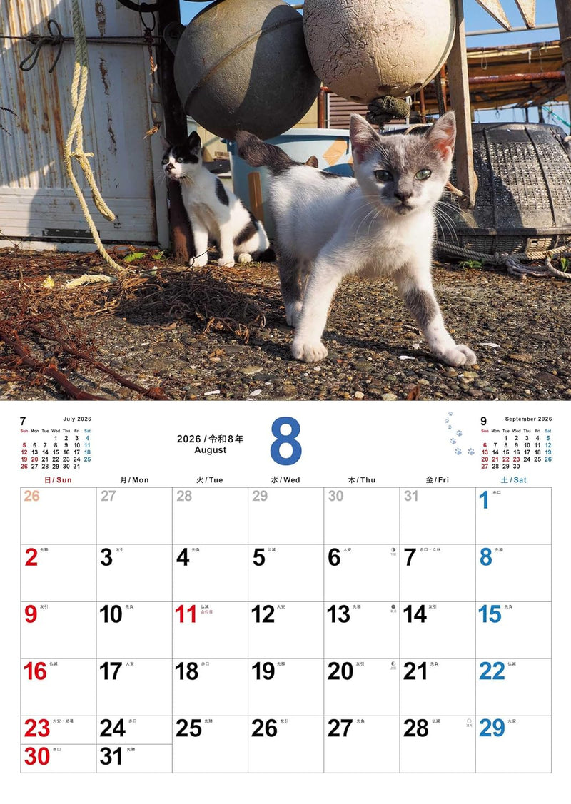 Koneko no Sekai 2026 Kitten Calendar S17