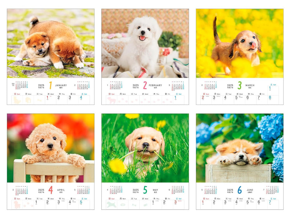 Calendar 2025 Fuwa Fuwa Wanko (Monthly/Wall Calendar) (Impress Calendar 2025)