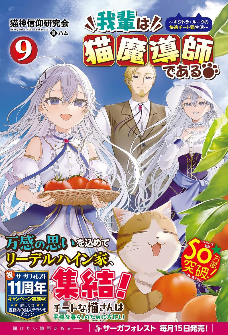 Wagahai wa Neko Madoushi de aru - Kijitora Luke no Kaiteki Cheat Neko Seikatsu - 9