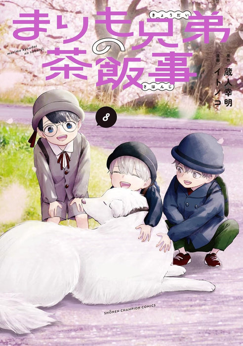 Marimo Kyoudai no Sahanji 8 — Japanese Book Store