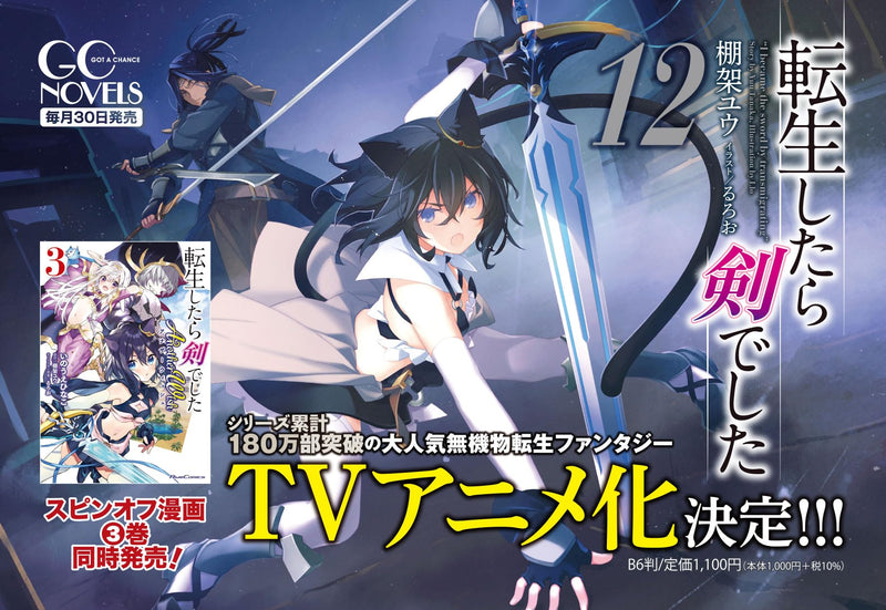 Reincarnated as a Sword (Tensei Shitara Ken Deshita) 12 (Light Novel)