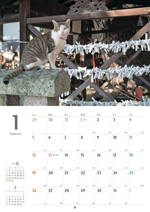 Street Corner Cats Calendar 2025 (Wall Calendar)