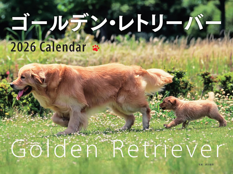 2026 Golden Retriever Calendar Wide Edition (Seibundo-shinkosha Calendar)